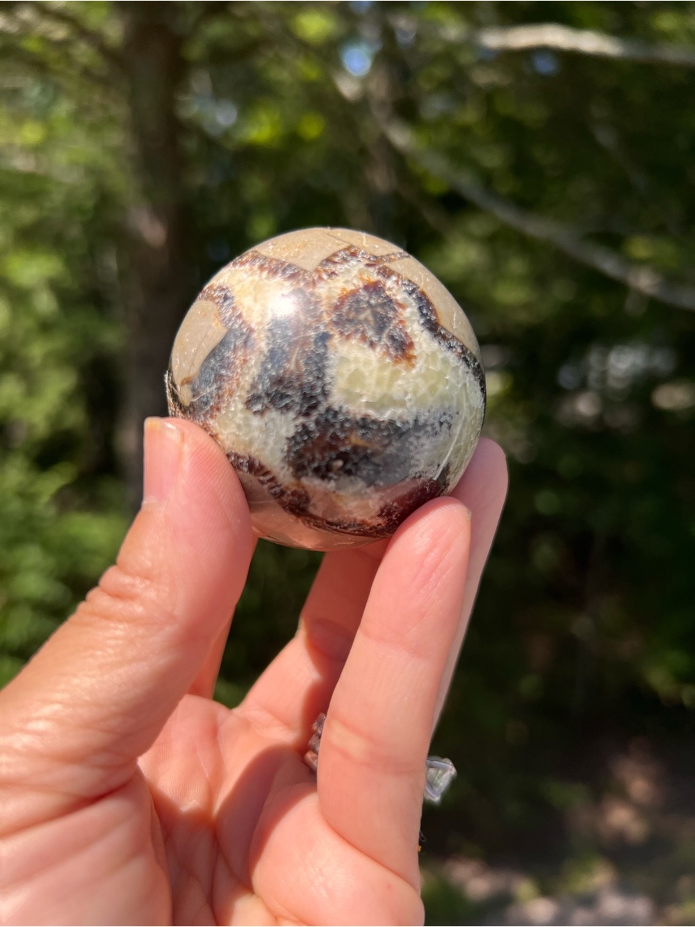 Septarian (1) sphere | crystal ~ uv reactive